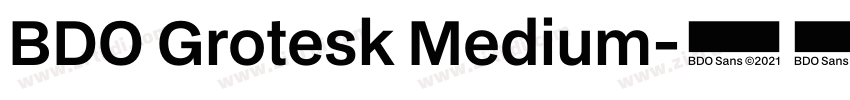 BDO Grotesk Medium字体转换